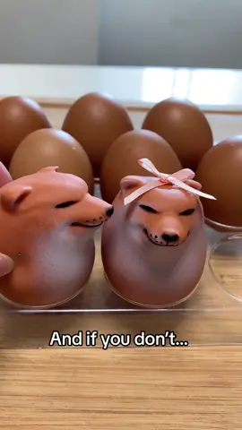 The Shibakos attempt on this trend 🥚✨🥹🔗 SHIBAKO LINK IN BIO #shibako #shibaki #linkinbio #ifyoudanceilldance 