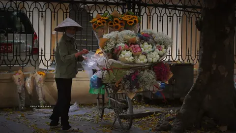 Thế là Hà Nội cũng bước sang mùa đẹp nhất năm 