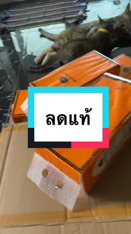 #ทิชชู #เดียรนี่รีวิว #เทรนด์วันนี้ #fypシ #tiktok #ธนภัทรน้อยของแม่เดียร์ 