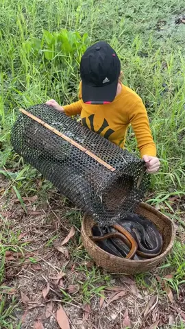 Surprised catch 👏 #fishing 