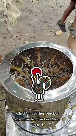 Turkey Chicken Plucker Plucking Machine Poultry De-Feather plucker machine for chicken Kitchen Meat Utensils Type60 #chicken #poultry #feather #chickenfeathermachine #plucker #chickenplucker #foryou #fyp #mademebuyit #viral #mademebuyit #tiktok #farmlife #farming #machine 