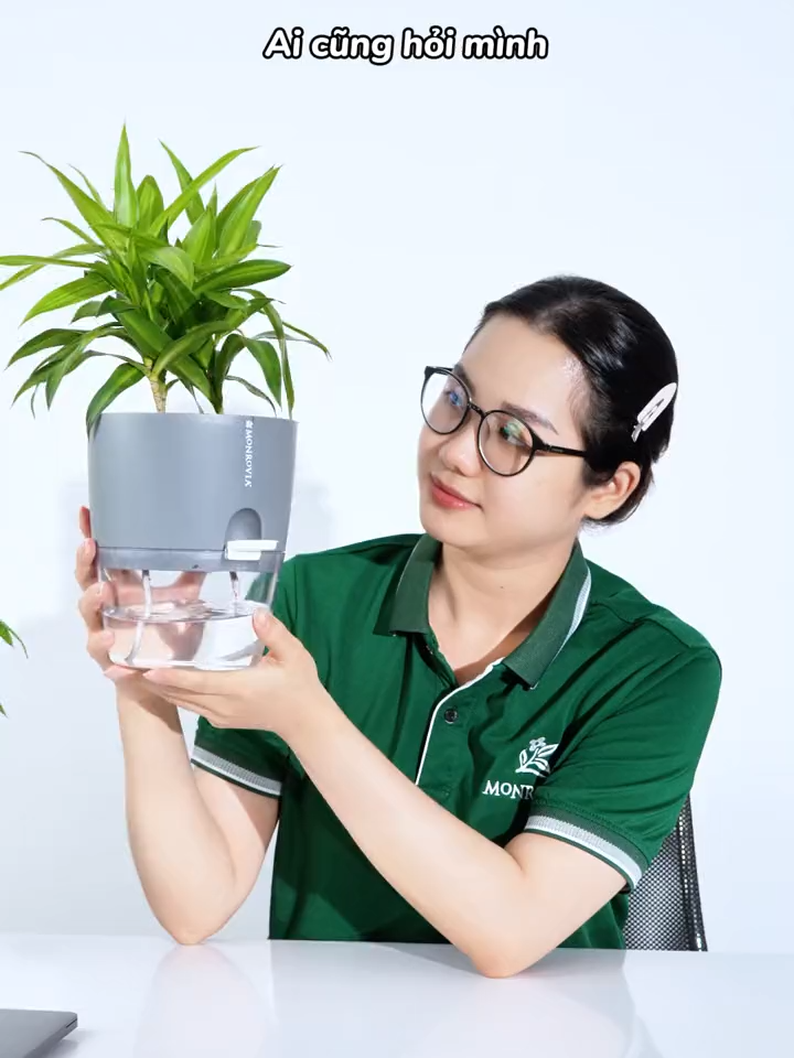 Chậu tự tưới giữ ẩm cho đất lâu dài, không cần tưới nước thường xuyên cây vẫn xanh tươi. Trang trí hoa, cây xanh tô điểm cho không gian sống. #chautuduong#chaututuoi#caytrongnha#cayxanh#chamcay#chautrongcay#houseplants #indoorplants#monroviavietnam #monrovia