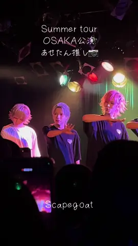 あせたんさん推しカメラ　spider's web / scapegoat @Scapegoat【公式】 @あせたん  え？の顔が好き😍#scapegoat #撮可 #メンズ地下アイドル #あせたん
