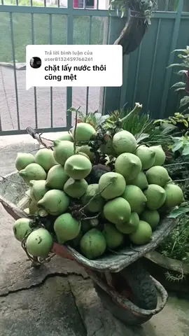 Trả lời @user8132459766261 đây nha bạn