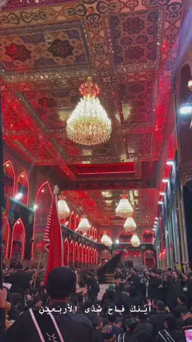 #اكسبلور #كربلاء #البحرين #العراق #الامام_الحسين_عليه_السلام #الحسين_ثورة_خالده #العتبة_الحسينية_المقدسة #حب_الحسين_يجمعنا #bahrain #explore #foryou 