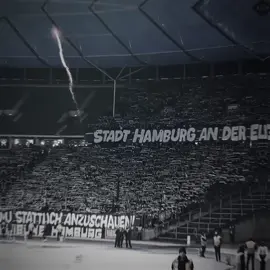 H S V 👊🏼⚫️⚪️🔵 ———————————— #hsv #hamburg #hamburgersv #hamburgersportverein #hsvultras #glatzel #reis #nordtribüne #nordtribünehsv #nordtribünehamburg #kramer #christophkramer #bmg #gladbach #borussiagladbach #vfl #chriskramer #goodbye #lewandowski #lewa #robertlewandowski #harrykane #kane #stürmer #viral  #fussball #edit #bundesliga #zweiteliga #fy #fyp #laliga #PremierLeague #seriea #football #foryoupage #foryou#regionalliga #regionalliganord #amateurfussball #dritteliga #vfb #viral #real #realmadrid #cl #championsleague #cledit #madrista #vini #vinicius #rüdiger #courtois #mbappe #fcbayern #fcb #munich #bavaria #bayernmunich #fcbayernmünchen #fcbayernmunich 