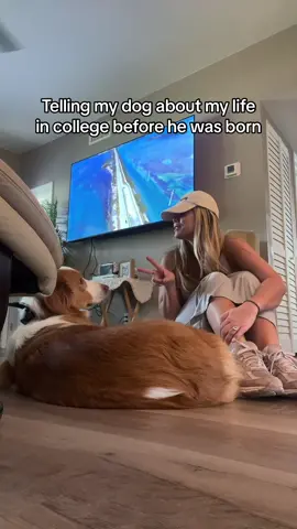 hes just a lil baby dog #fyp #college 