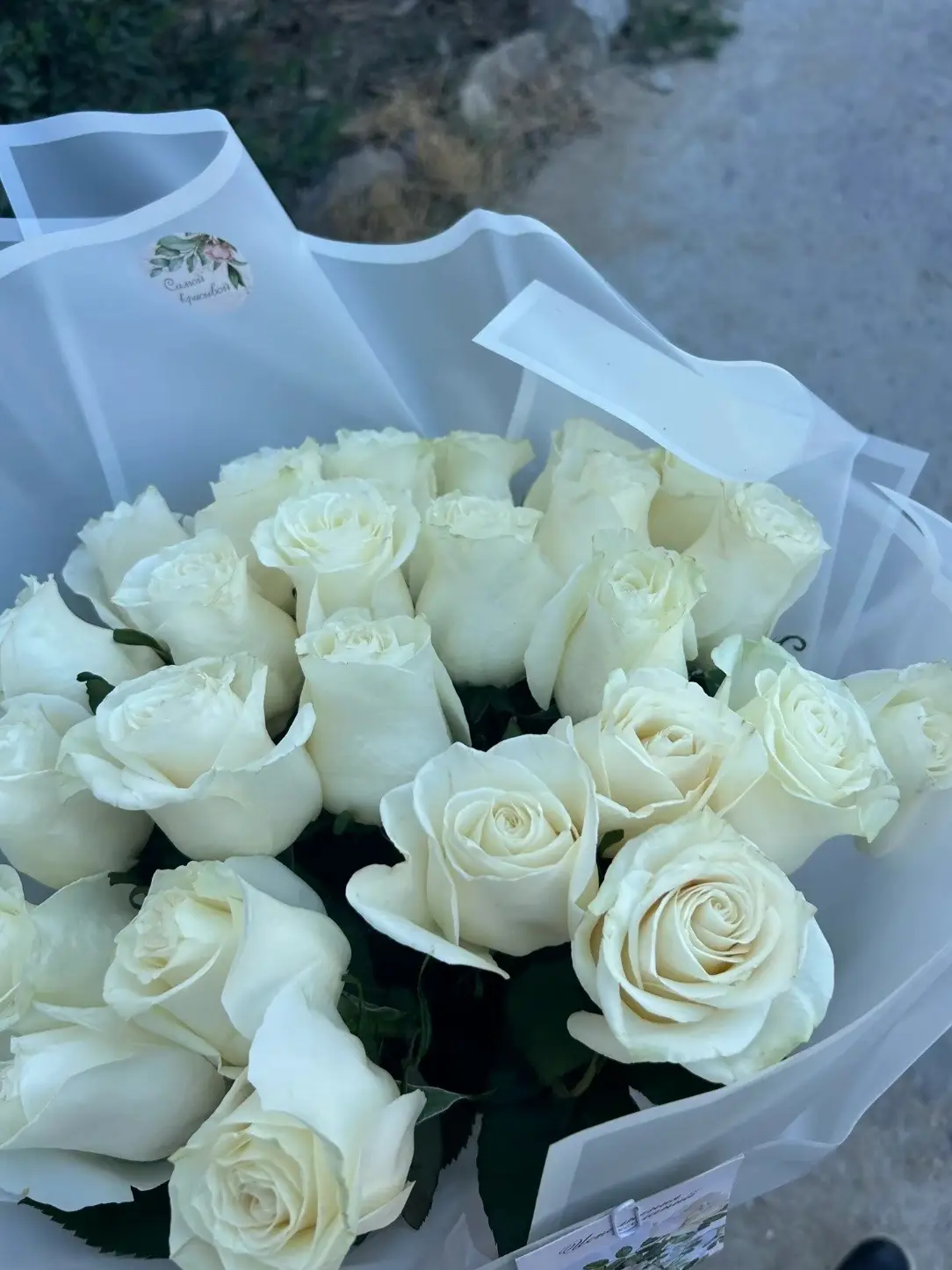 #рек #рекомендации #цветы #цветыбукеты #розы#красныерозы#красиво