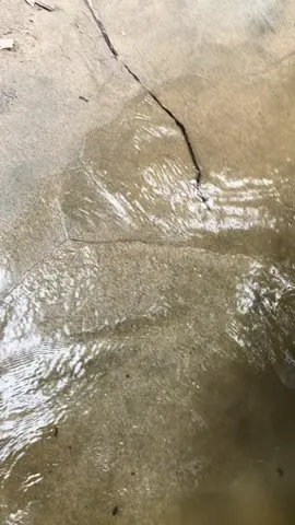 Como cuando esta el dia nublado 