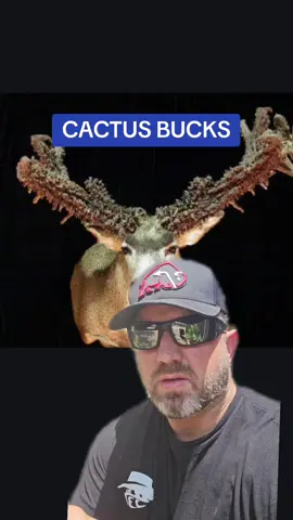 Cactus Bucks #cactusbucks #cactusbuck #jamesbigleyranches #whitetail #deer #muledeer #hunting #elk #axisdeer #hunt #nontypical 