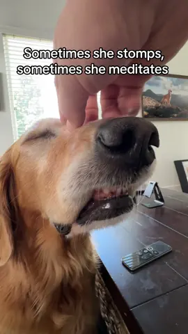 Yogi Nala 🧘
