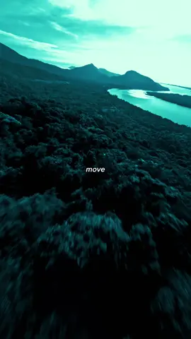 Adam Port - Move🎶 #Lyrics #Song #Music 