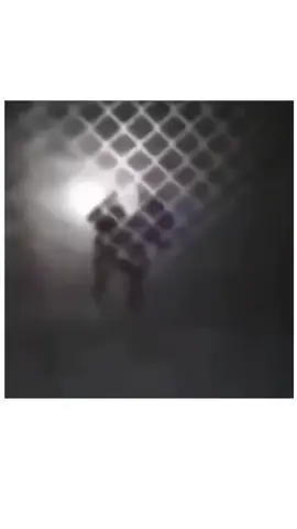 #funnyanimals #funnypets #funnycats #funnydogs #humor #meme #foryoupage chien qui tousse