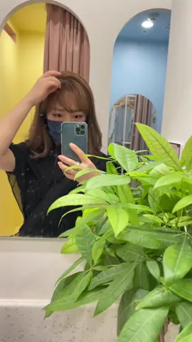 don’t we all want #passportphoto  like this 📸 checking this off of my todo list when I’m back home ✅ @HOLO+FACE  #holoface #catchyoursparkle #koreanphotostudio   #taiwan #idphoto #韓式證件照 #證件照  #台灣 #大頭照    #foryou #fypシ゚viral 