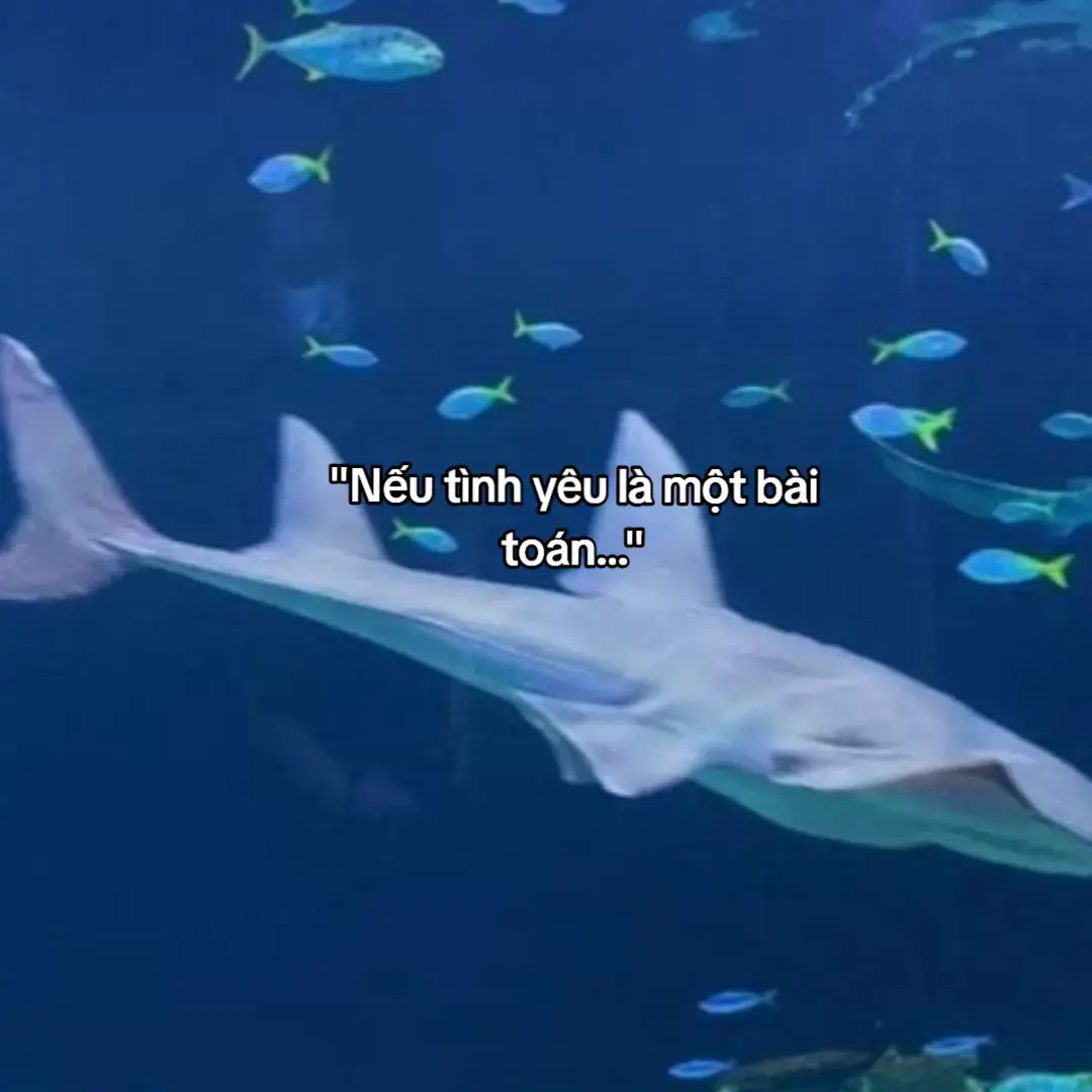 😪 #fypシ #foryou #xuhuong #xh #fyp #viral #tinhyeu 