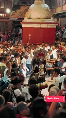 || BHAILA Naach || . 📍: Balkumari,Thimi  . #bhairavnaach#tradation#culture#festival#newariculture#newa#sujanpost#nepal 