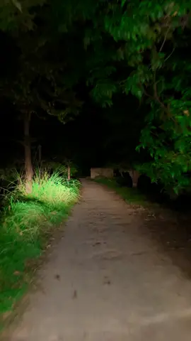 رات کے سناٹے میں #night #sadstatus #villagehd  @🇦🇪🌹🇵🇰🌹🌹سلیم خان پردیسی 