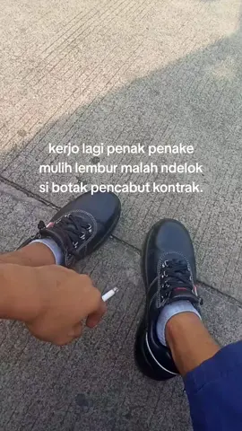 h-30 ntek kontrak balik majalengka #kulipabrikmajalengngka #majalengkapride🏴‍☠️  #fyp #fypシ #yimmwjkarawang #kulipabrikcikarang #yimmwj #kulipabrikkarawang #kulipabrik 