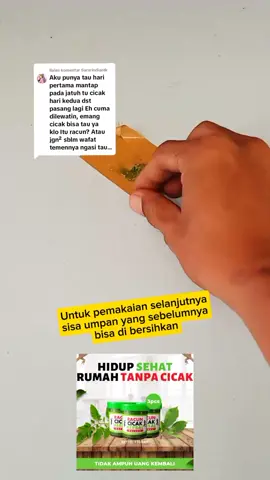 Membalas @tiararindiantk untuk lebih lengkapnya pemakaian racaku bisa langsung cek video Ka... #racuncicakherbal #pembasmicicak #racuncicak #racaku 