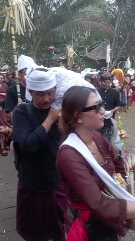 Pitra yadnya,Ngaben massal 2024