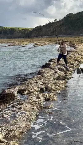 #fypシ゚viral #🇳🇿 fishing 🎣 