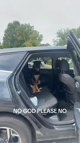 Sad boy at vet #DogsOfTikTok #foryoupage #fyp #dog #vet #scary #sad #funny 