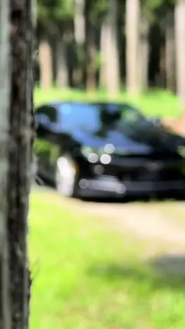 黒カマロかっこえー#v8 #カマロ #CAMARO #シボレー #森 