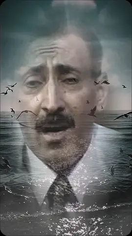 #CapCut#وقمري غرد#عبد الباسط عبسي#طرب يمني اصيل#missyou #aburami #اكسبلور #ادعموني_متابعه_ولايك_الاكسبلور 