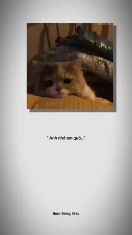 anh nhớ em quá #xuhuongtiktok #camxuc #tinhyeu #tamtrang #story #xuhuongtiktok #xuhuong2023 #tiktok #fyp #foryou #xuhuong #xh 