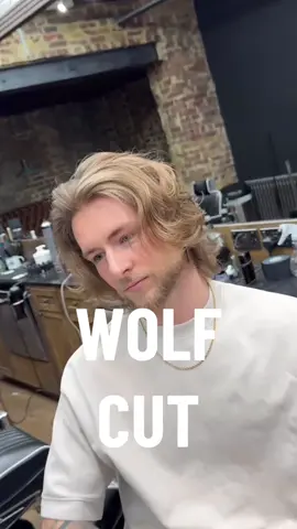 WOLF CUT, or a lion cut? #wolfcut #wolfcuthair 