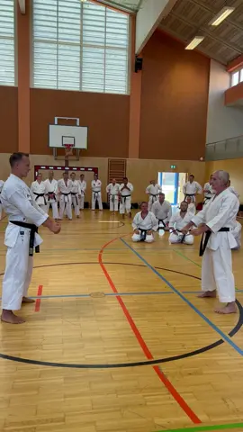 Kihon Bunkai.                                    #kihonkarate #kihonkarateshotokan #karate #karatedo #karateka #karateshotokan #karatechallenge #shotokan #shotokankarate #shotokansensei #shotokanjapan #shotokankata #shotokan🥋🥊 #shotokankid #shotokan_karate #shotokankaratedo #shotokanmaster #kihonkarate🥋 #karatekid 