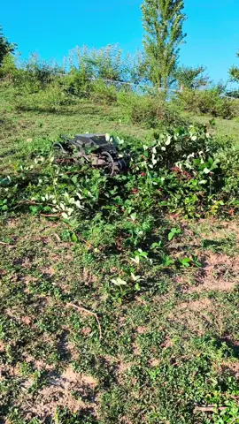 Grator Lowrider #brushmower #tondeuse #mähen #grasmaaier #rasenmähen 