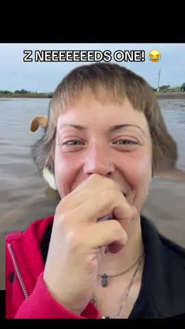 #stitch with @Janine Sharma #greenscreen omg Z needs this!! 😂😂 Where do we find one?  #blind #noeyes #glaucoma #zcantsee #funny #hat #eyes #dog #dogsoftiktok 