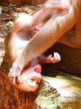 Poorest Luno screaming loudest Mom b.a.d tortured 