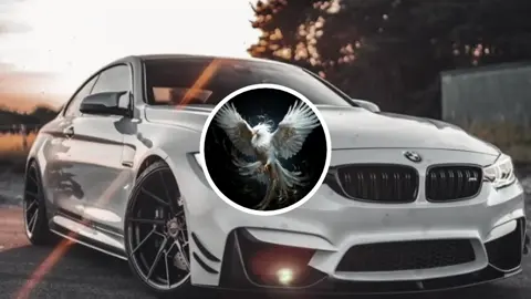 #ريمكس  مامليت🎧👏 #ريمكسات 