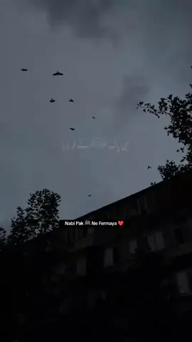 حضور ﷺ نے فرمایا ۔کہ جب اللّه کسی کو بیمار کرتا ہے تو پھر فرشتوں کو بھیجتا ہے  #repostmyvideo #dontunderreviewmyvideo #unfreezemyacount #fyppppppppppppppppppppppp #pleasesupport #loveallah😘🕋🤲🏻 #lovemuhammadsaw #trending #islamic_shehzadii 