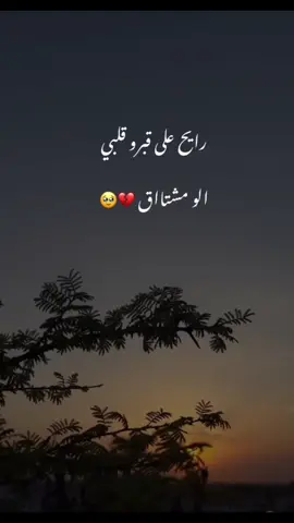 رايح على قبرو قلبي الوو مشتاق 💔🥹 #tayfalamill #طولكرم♥🙋‍♀️ 