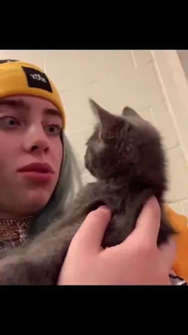 i love this one 😭 #billie #eilish #billieeilish #foryoupage #cat #omgpage 