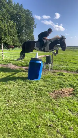 Wie hoch denkt ihr hat er Potenzial?🎀 #potenzial #höhe #foryou #viral #horsesoftiktok #joey 