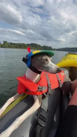 Kayaking = happy iggys, @earthrated = happy pawrents🧼🐾 #earthratedpartner 
