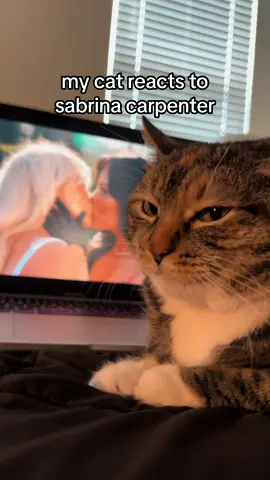 She’s been listening to Sabrina Carpenter’s new album all weekend 💙 #sabrinacarpenter #jennaortega #cats #pop #cat #catsoftiktok #fyp
