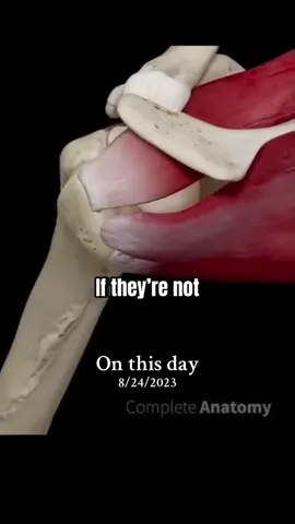 #onthisday strengthen your rotator cuff & fix shoulder pain! 