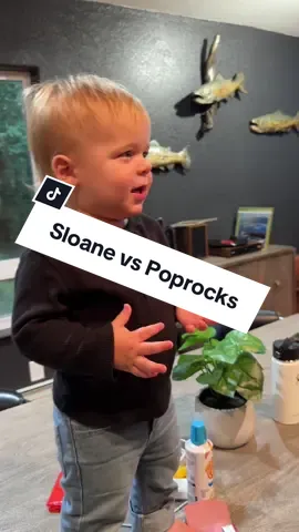 one year old vs. pop rocks #poprock #toddlersoftiktok #alaska #travel #family #babiesoftiktok 