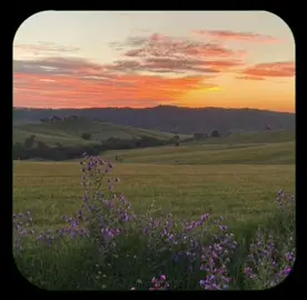 Take me Home Country Roads - John Denver #westusa #edit #tipografia #fyyy #jp32234 #countryroads #fyyy #johndenver #fyp #texas #music #song #viraliza #fyyyyyyyyyyyyy #usa #_annacarol_z #fyyy #brasil #tiktok #viral #vaiprofycaramba #foryou #country #countrymusic  #takemehome #take #me #Home 