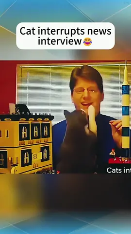 Cat News Hour 👋💯 #cat #cats #fyp #funnyvideos #funnycat #funnyanimals #funnytiktok #foryou #foryoupage #catsoftiktok #catsmoves #kitten #pet #tiktokcats #usa #usa🇺🇸 