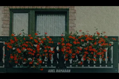 حبيب عينيا حبيب احلامي                                         ٠                                                            ٠                                                           ٠                                                           #نجاة_الصغيره #قديم #اغاني #explore 