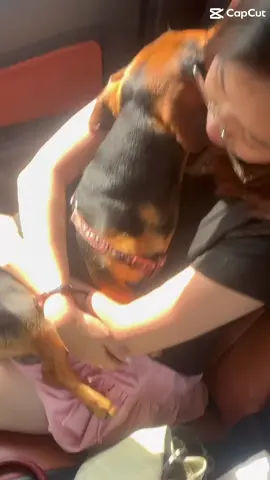 Sắt út đẹp trai lơ xe giỏi… ngoan nhất nhà