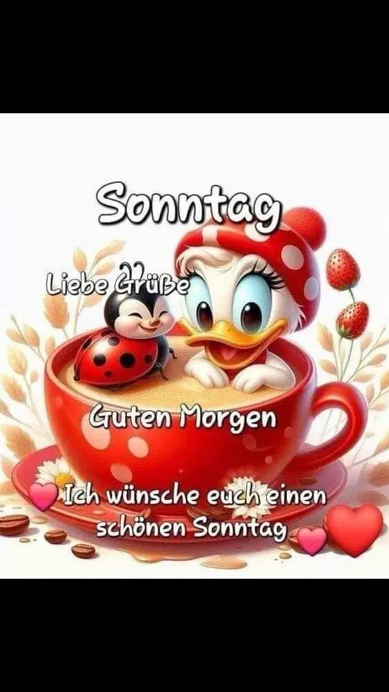 Guten Morgen und einen schönen Sonntag 😃
