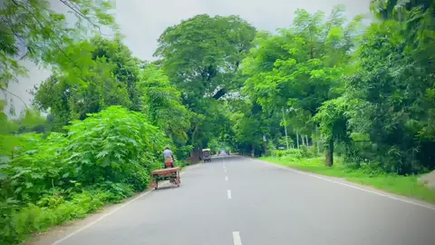 💖🍀💖❖💖🍀💖হে প্রিয়সী, তুমি আমার মনের গহন, প্রতি মুহূর্তে তোমাকে খুঁজে পাই।💖🍀💖❖💖🍀💖 #fffffffffffyyyyyyyyyyypppppppppppp #foryoupageofficial #tiktokbangladesh #unfrezzmyaccount #unfrezzmyaccount🙏 #foryoupage #foruyou #bangladesh #foru #fyp #unfrezzmyaccount😭😭😭😭😭 