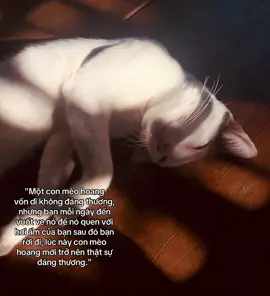 lúc đã thân quen, bất ngờ rời đi..